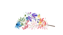Les Fleurs de Suzanne fleuriste à Domaize Puy-de-dôme